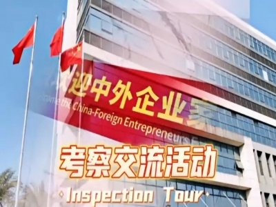 国内外企業家の視察交流活動です